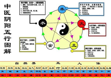 言 五行|言的五行属性是什么